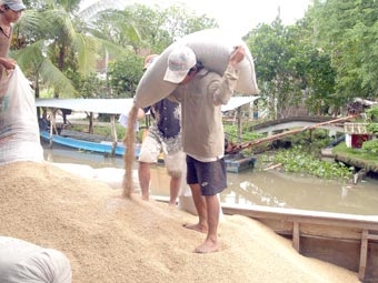 Nên mua lúa, gạo tạm trữ vào thời điểm thu hoạch rộ