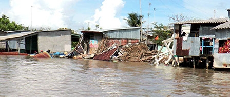 Sạt lở ở Đồng bằng sông Cửu Long 

gây nhiều thiệt hại lớn