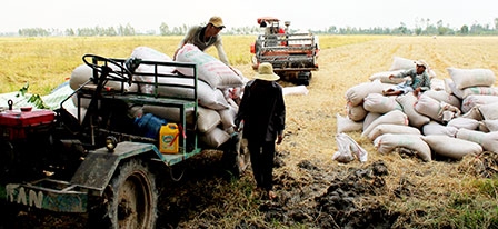Dồn sức phát triển “tam nông”