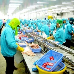 Kiểm soát cung - cầu 
để phát triển bền vững ngành cá tra