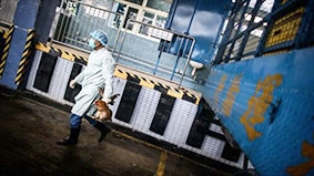 Phát hiện dòng cúm 

gia cầm nguy hiểm mới