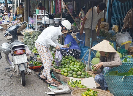 Cách chọn lựa nguyên liệu thực phẩm an toàn