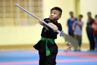 Để bộ môn Võ cổ truyền thành phố phát triển ổn định