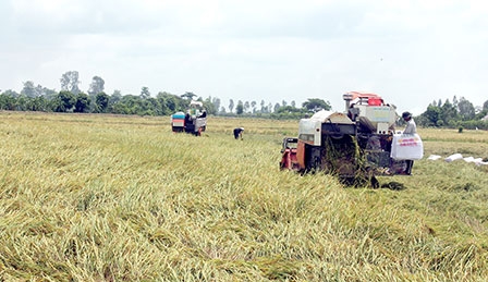 Quyết tâm và thách thức