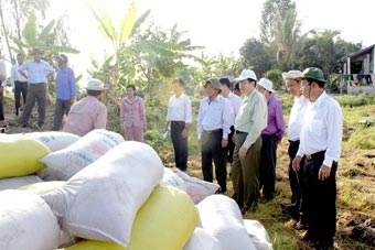 Quyết tâm và thách thức