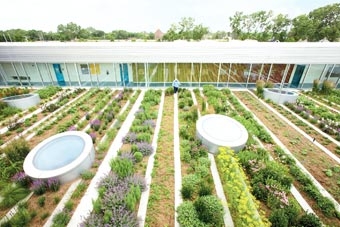 Những mô hình nông nghiệp 
an toàn và bền vững của tương lai