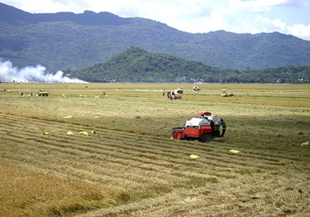 Để “tam nông” bền vững 

phải lấy dân làm gốc!