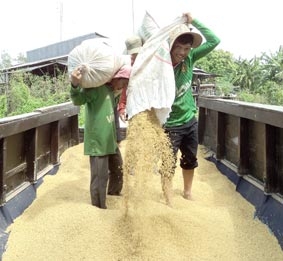 Vì sao nông dân ngại GAP?