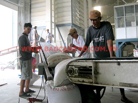 Cần Thơ hỗ trợ doanh nghiệp 

tăng năng lực cạnh tranh, hội nhập quốc tế