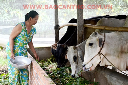 Phát huy “tam nông” hiệu quả