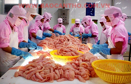 Vượt lên thách thức 

để tồn tại