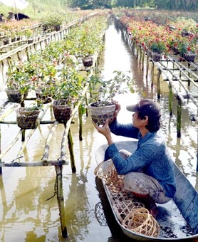 Phát huy “tam nông” hiệu quả