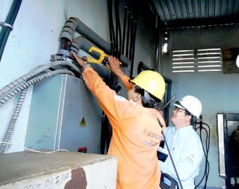 Hỗ trợ doanh nghiệp thủy sản và 
chế biến gạo sử dụng năng lượng hiệu quả