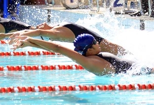 Để các Liên đoàn thể thao phát huy hiệu quả