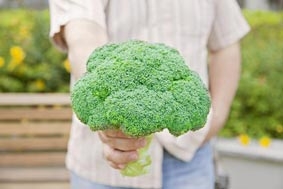 Bông cải xanh - kem chống nắng và chống ung thư da từ thiên nhiên