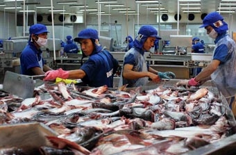 Thủy sản Đồng bằng sông Cửu Long tái cơ cấu để phát triển bền vững