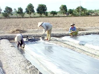 Hình thành 
“vành đai xanh” từ “tam nông”