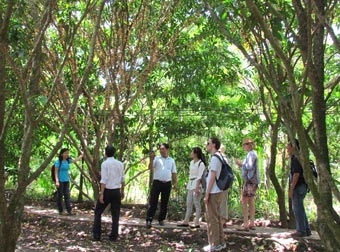 Về miệt vườn Phong Điền