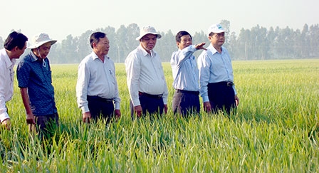 Xu thế phát triển tất yếu của nông nghiệp hiện đại