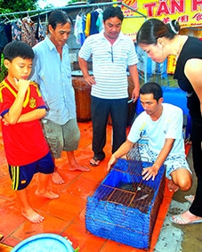 Cà Mau: Cá sấu biết sủa!?