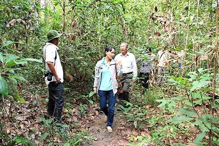 Vườn quốc gia Lò Gò Xa Mát  
“lá phổi” của Đông Dương