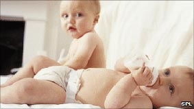 Phát hiện hoạt chất ảnh hưởng khả năng sinh sản