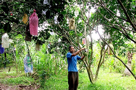 Thành công nhờ sáng tạo