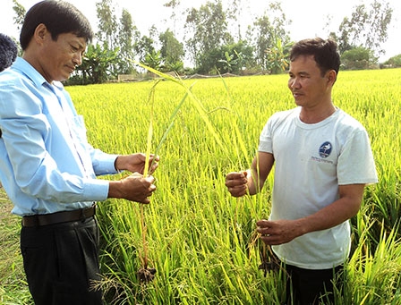 XU THẾ PHÁT TRIỂN TẤT YẾU CỦA NÔNG NGHIỆP HIỆN ĐẠI