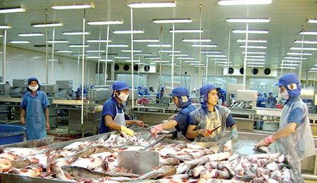 Cần sớm có nghị định 
để gỡ khó cho ngành cá tra
