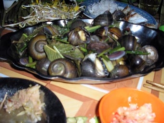 Con ốc mùa nước nổi