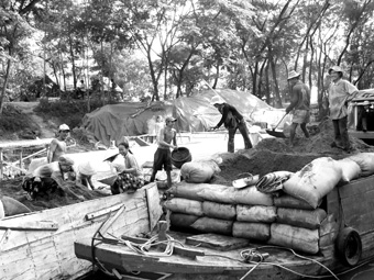 Chợ tro nổi Trà Thôn