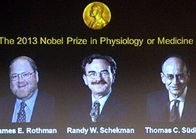 Giải Nobel Y học 2013 vinh danh các nhà khoa học Mỹ và Đức