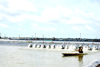 Còn nhiều vướng mắc