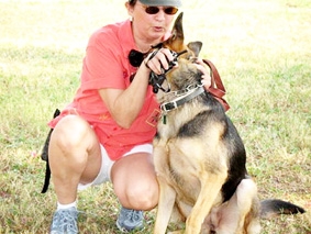 Vòng đeo cổ cho chó giúp chăm sóc người già từ xa