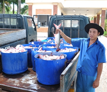 Khi doanh nghiệp 
đặt hàng sản xuất sạch hơn