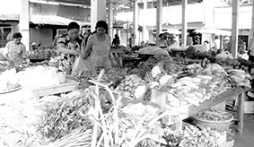 Lối ra cho 
rau an toàn