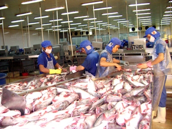 Vấn đề tín dụng và hợp đồng còn nhiều vướng mắc