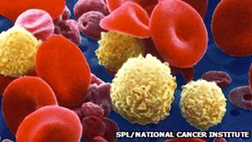 Thử nghiệm thành công phương pháp cấp ghép tủy xương tiên tiến