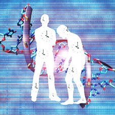 Phát hiện “đồng hồ sinh học” 
của từng bộ phận trong cơ thể