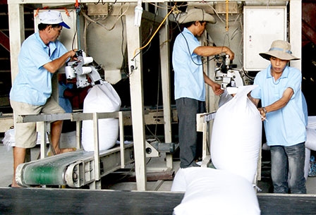 Hành trình “thay áo mới”
cho ngành nông nghiệp