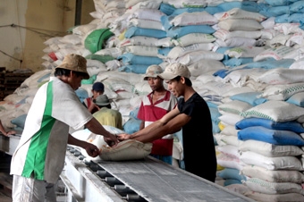 Doanh nghiệp ĐBSCL “vượt bão”