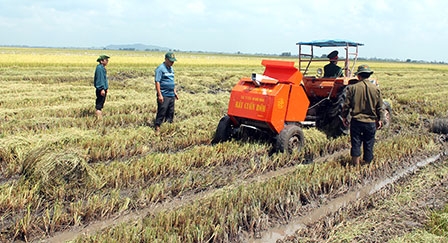 Cơ hội để nông dân 
nâng cao thu nhập