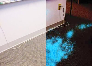 Phát minh giúp cách mạng hóa 
lĩnh vực điều tra tội phạm