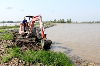 Sẵn sàng cho vụ lúa đông xuân