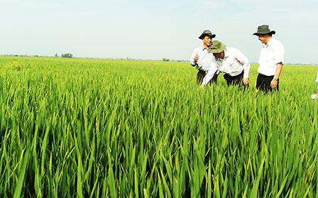 Tạo sức bật trong xây dựng nông thôn mới