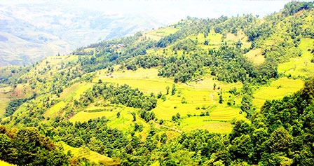 Hạnh Phúc - con đường trên mây