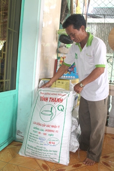 Khuyến khích liên kết trong sản xuất, tiêu thụ lúa