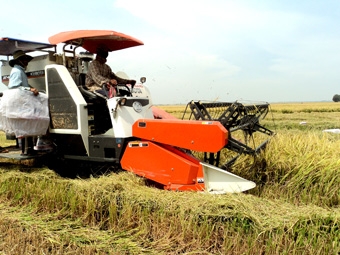 “4 nhà” cùng vào cuộc