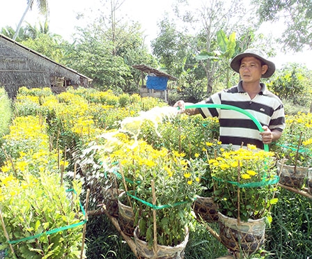 Tập trung nâng chất, phát huy vai trò kinh tế tập thể