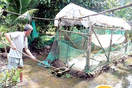 Khuyến khích phát triển mô hình 
sử dụng khí biogas ở nông thôn